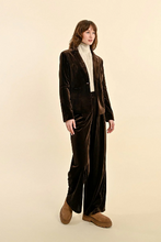 Molly Bracken Chocolate Velvet Blazer (New)