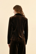 Molly Bracken Chocolate Velvet Blazer (New)